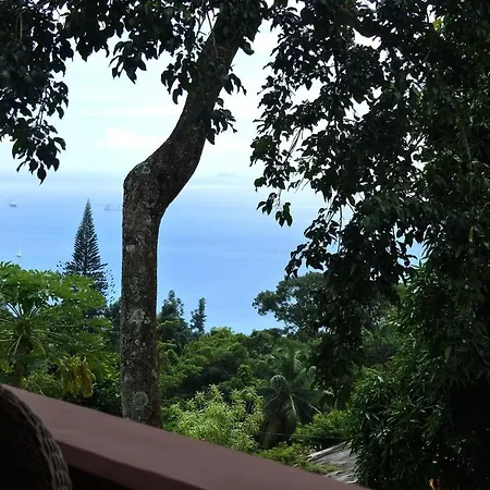 Contemporary Studio With Sea View In Mahe 56M² + Terrace